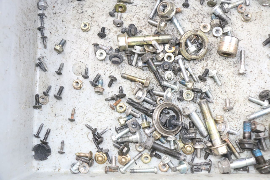 photo de BOLSA DE TORNILLERÍA TORNILLO DAELIM S3 125 (2010 - 2017)