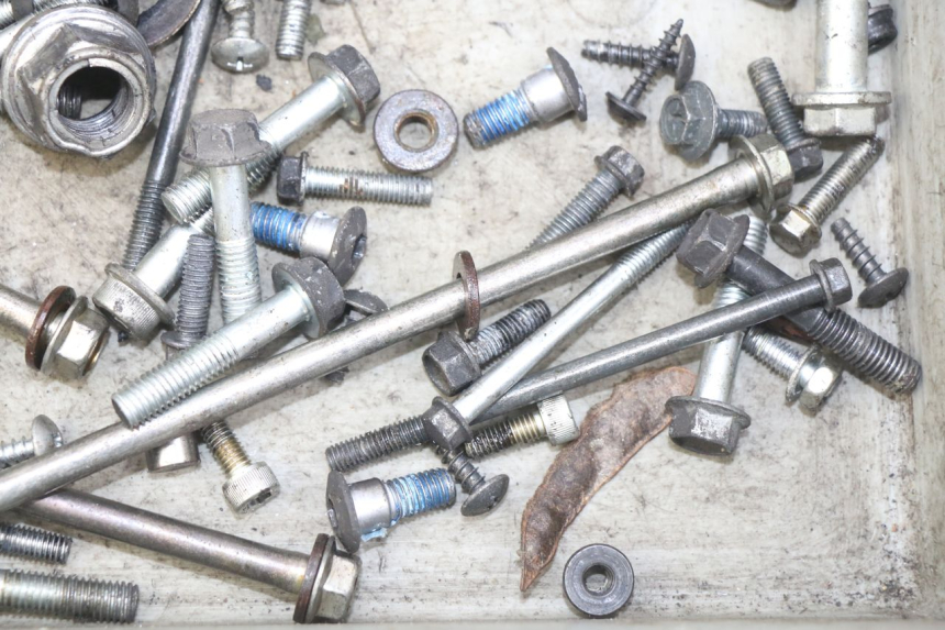 photo de BOLSA DE TORNILLERÍA TORNILLO SUZUKI SIXTEEN 125 (2008 - 2010)