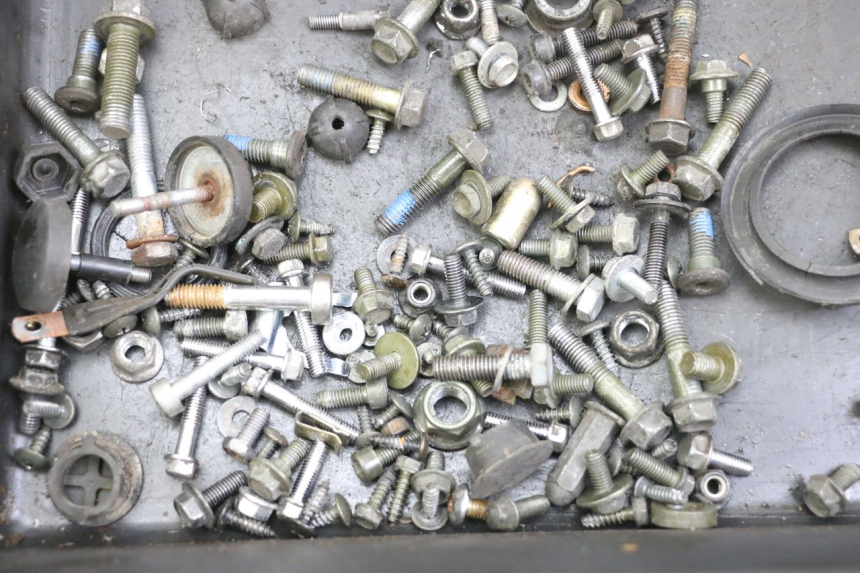 photo de BOLSA DE TORNILLERÍA TORNILLO PEUGEOT TWEET 4T 50 (2018 - 2020)