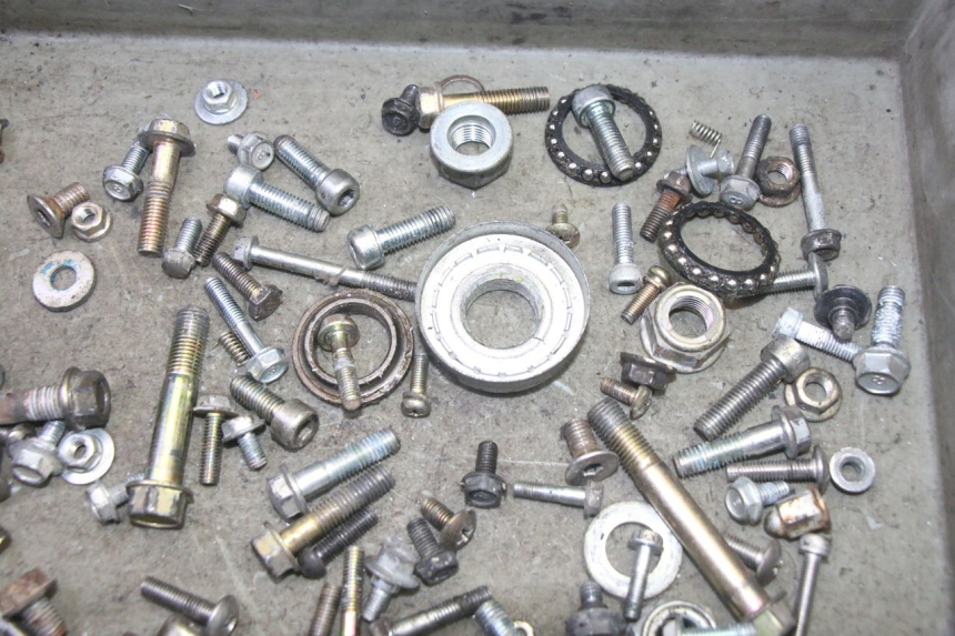 photo de BOLSA DE TORNILLERÍA TORNILLO DAELIM VJ ROADWIN FI 125 (2008 - 2017) - Zoom estado de uso