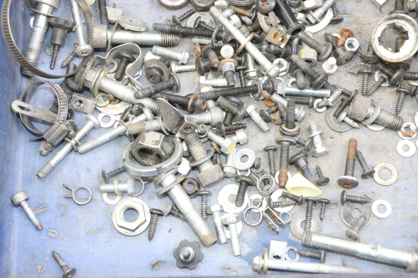 photo de BOLSA DE TORNILLERÍA TORNILLO PIAGGIO XEVO - X EVO 125 (2007 - 2017) - Zoom estado de uso