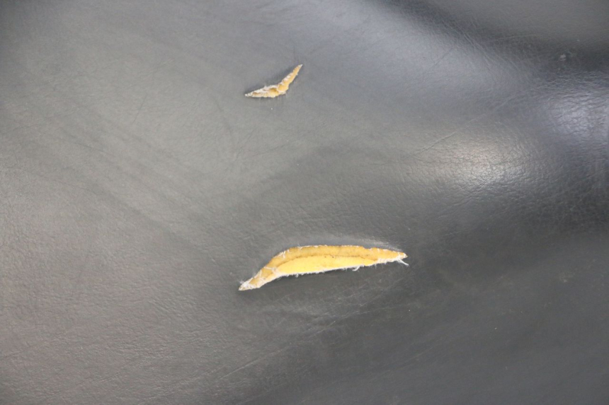 photo de ASIENTO PEUGEOT ELYSTAR 50 (2002 - 2014)