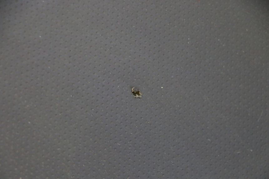 photo de ASIENTO STAHO FH 50 (2018 - 2019)