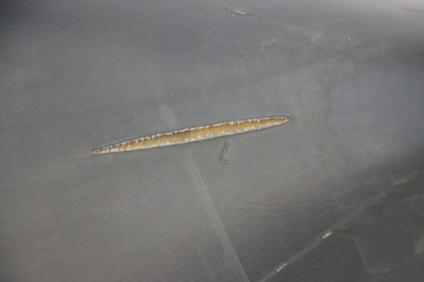 photo de ASIENTO PIAGGIO LIBERTY 125 (1998 - 2008)