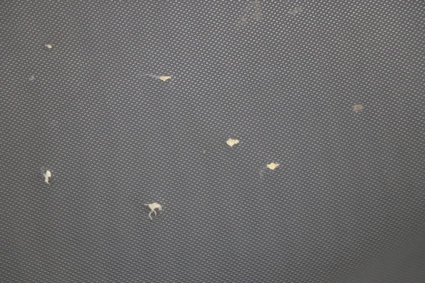 photo de ASIENTO JM MOTORS MILANO 50 (2014 - 2019)