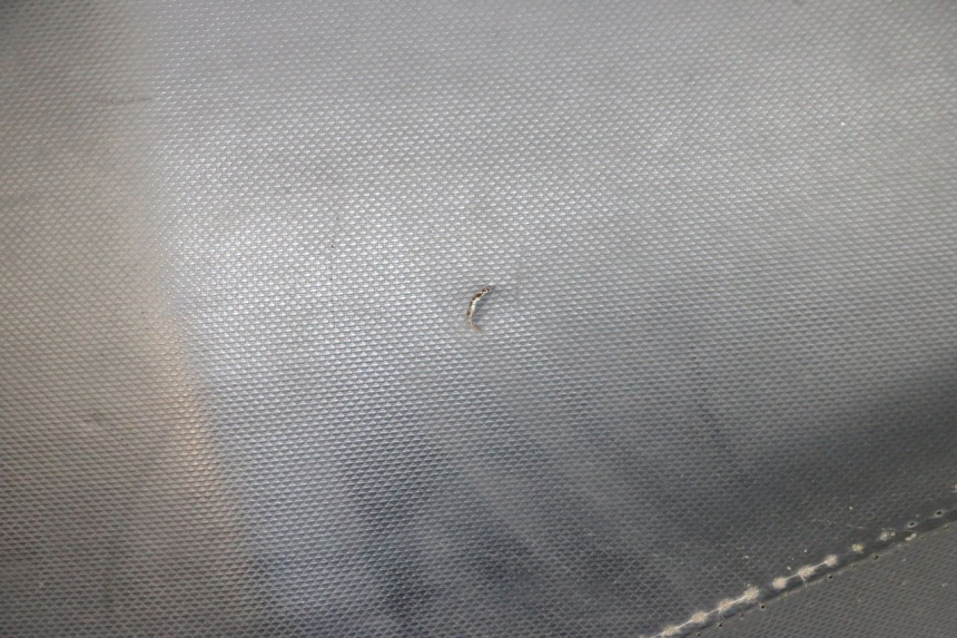 photo de ASIENTO PIAGGIO NEW TYPHOON 50 (2018 - 2021) - Vista general del producto