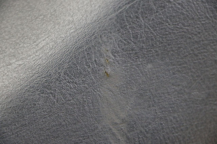 photo de ASIENTO PEUGEOT ELYSTAR 50 (2002 - 2014)