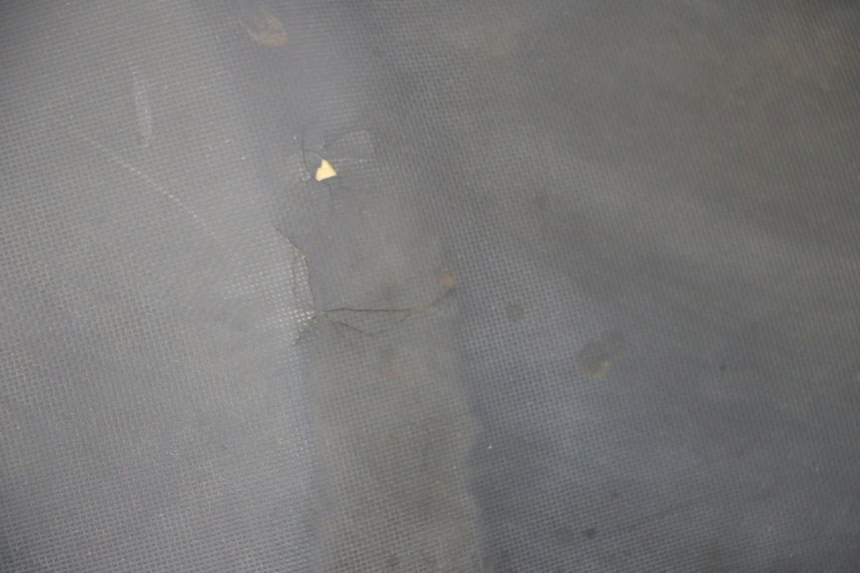 photo de ASIENTO DAELIM S1 125 (2007 - 2016) - Otra perspectiva