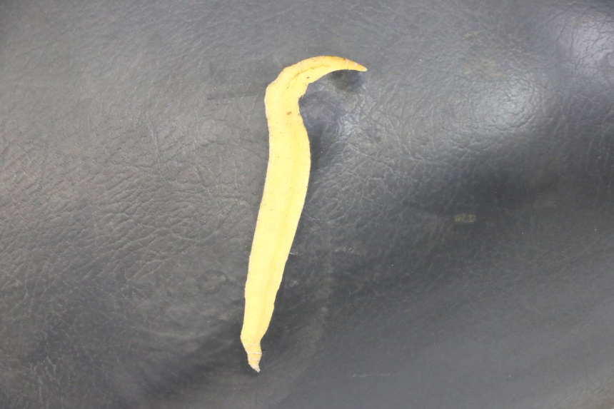 photo de ASIENTO SUZUKI BURGMAN 125 (2007 - 2014)