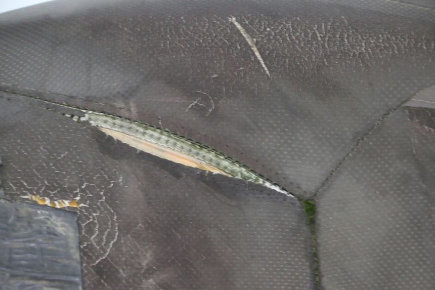 photo de ASIENTO YAMAHA X-MAX XMAX 250 (2006 - 2009)