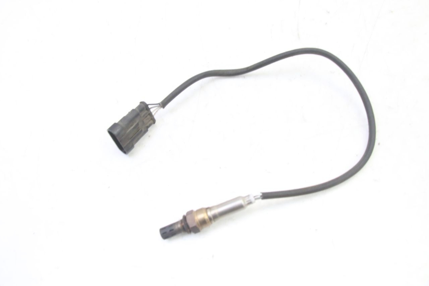 photo de SONDA LAMBDA TNT MOTOR BOSTON 4T 50 (2018 - 2025)