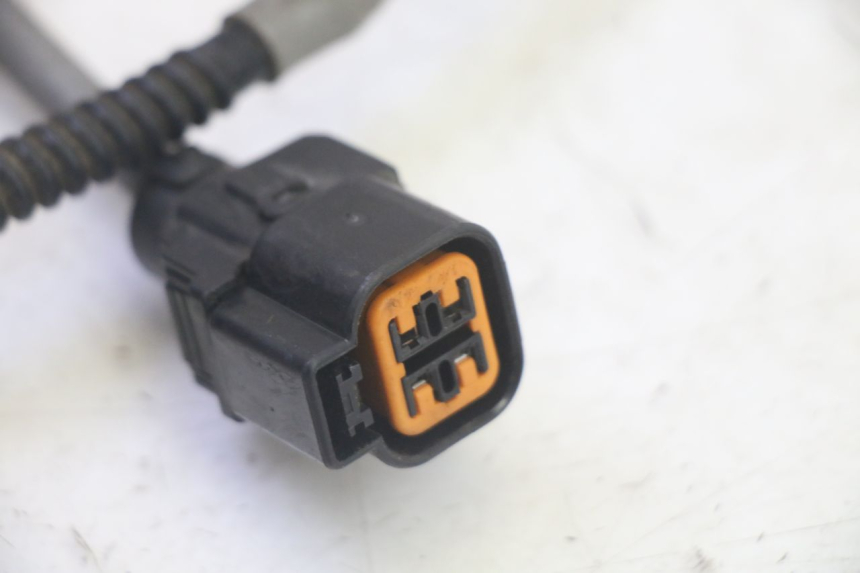 photo de SONDA LAMBDA DAELIM VJ ROADWIN FI 125 (2008 - 2017) - Primer plano técnico