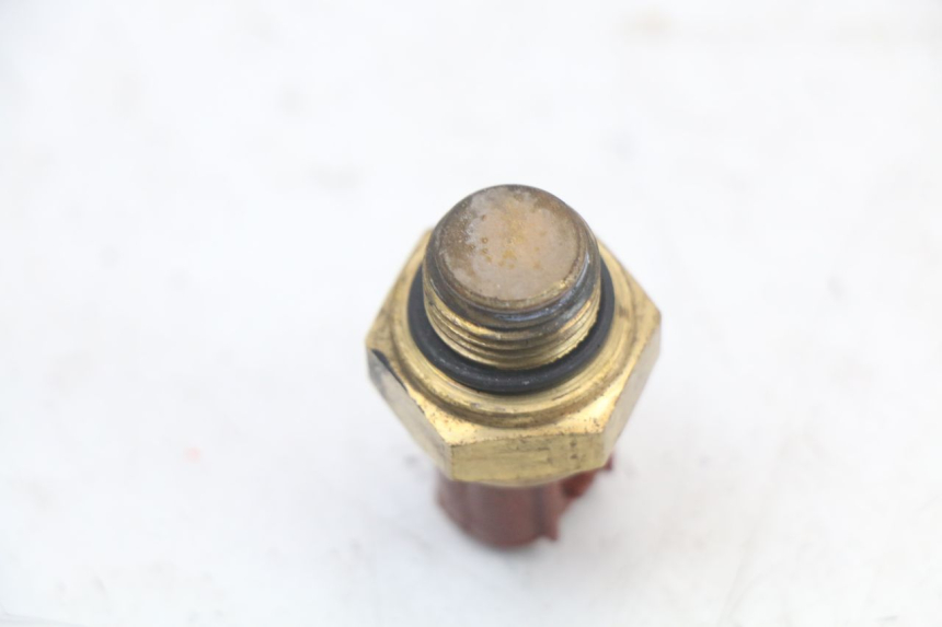 photo de SENSOR TEMPERATURA AGUA MASAI SCRAMBLER SPORT 125 (2021 - 2025)