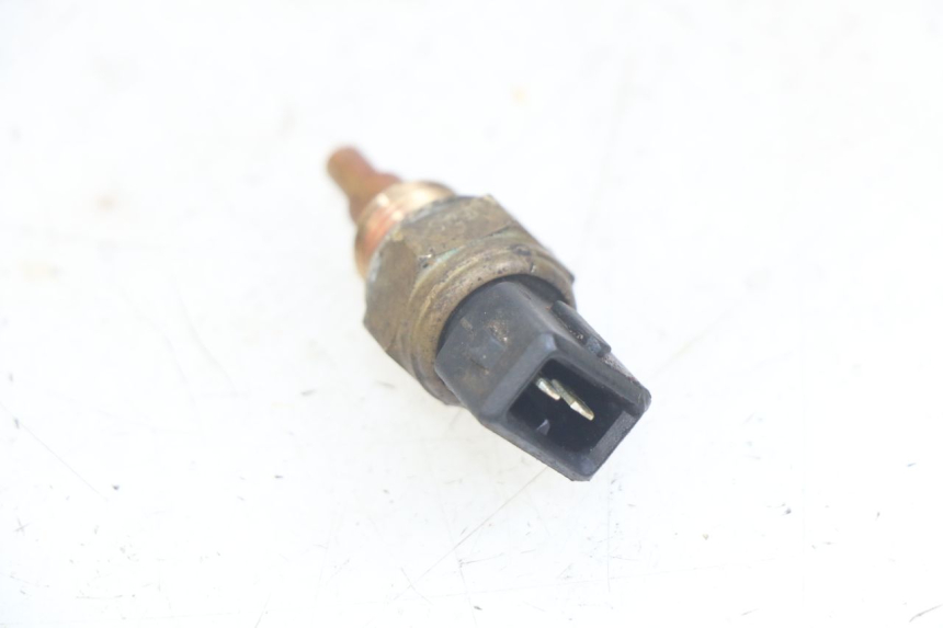 photo de SONDA DE TEMPERATURA DE AGUA SHERCO SM-R 50 (2018 - 2021)