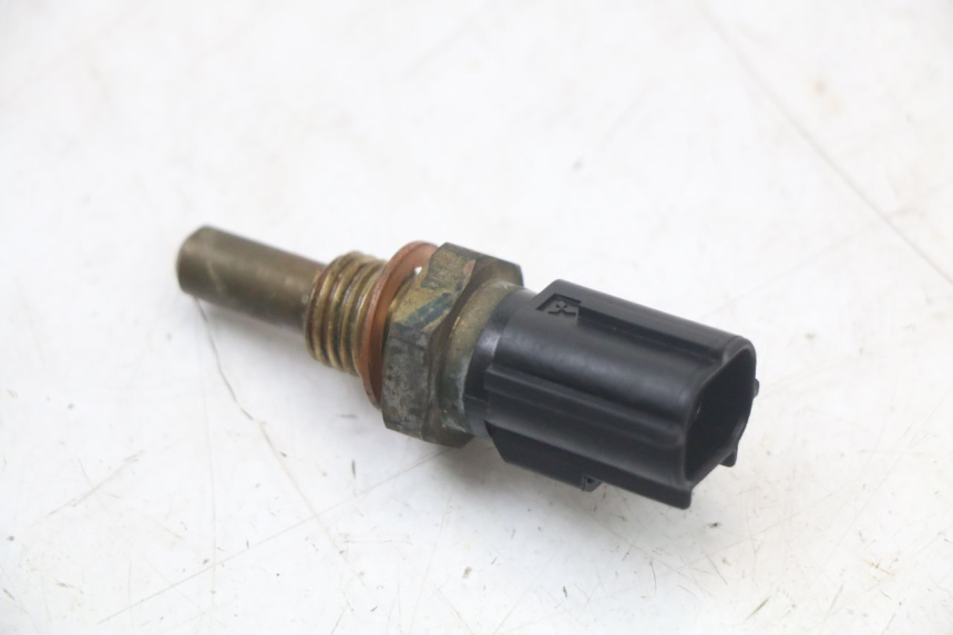 photo de SONDA DE TEMPERATURA DE AGUA YAMAHA FJR ABS 1300 (2006 - 2012)
