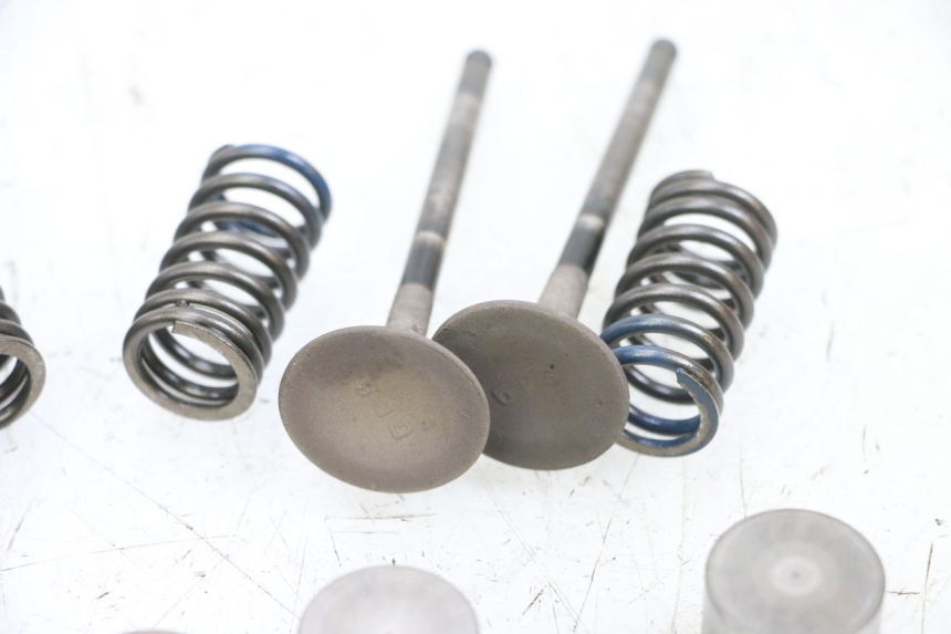 photo de VALVULA MOTOR YAMAHA TDM ABS 900 (2002 - 2014) - Primer plano técnico