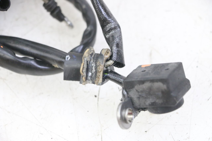 photo de STATOR HONDA CRF-F CRF F 110 (2019 - 2022)