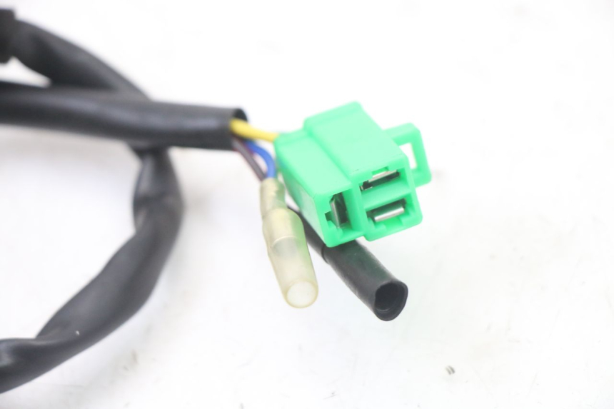 photo de STATOR JM MOTORS MIA 50 (2017 - 2020)