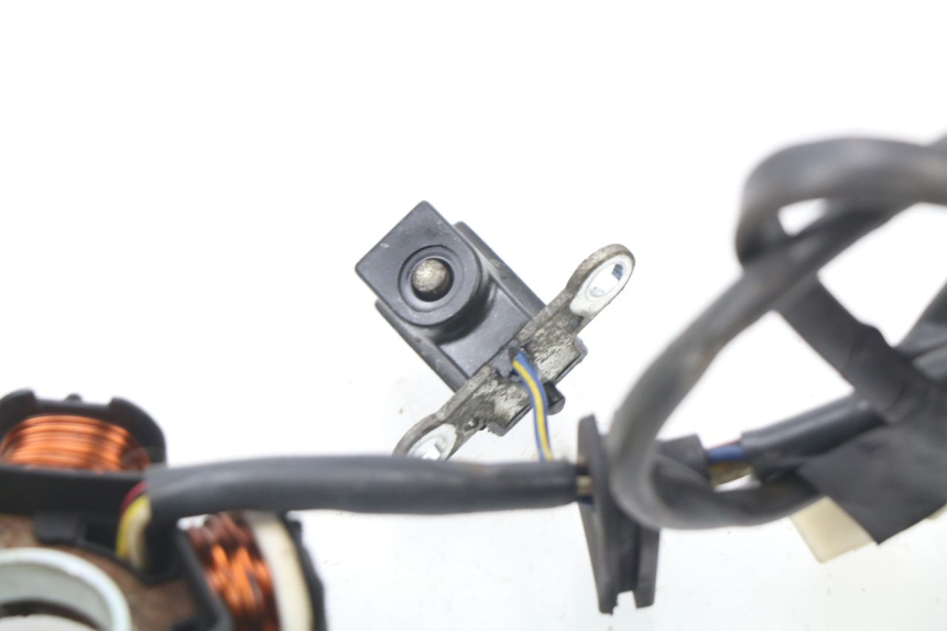 photo de STATOR PEUGEOT LUDIX 50 (2008 - 2017) - Primer plano técnico