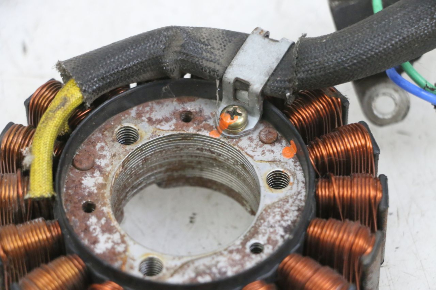 photo de STATOR DAELIM S1 125 (2007 - 2016) - Zoom estado de uso