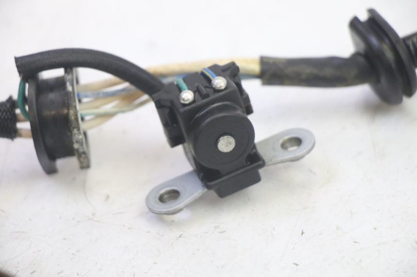 photo de STATOR YAMAHA TDM ABS 900 (2002 - 2014) - Otra perspectiva