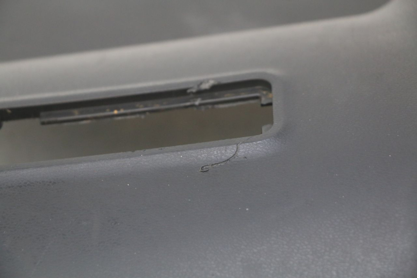 photo de PANEL INTERIOR RED ELECTRIC RED E PRO 1 (2017 - 2019)