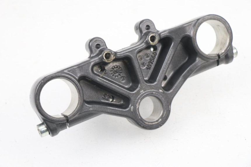 photo de HORQUILLA DERBI SENDA SM DRD 50 (2008 - 2013)