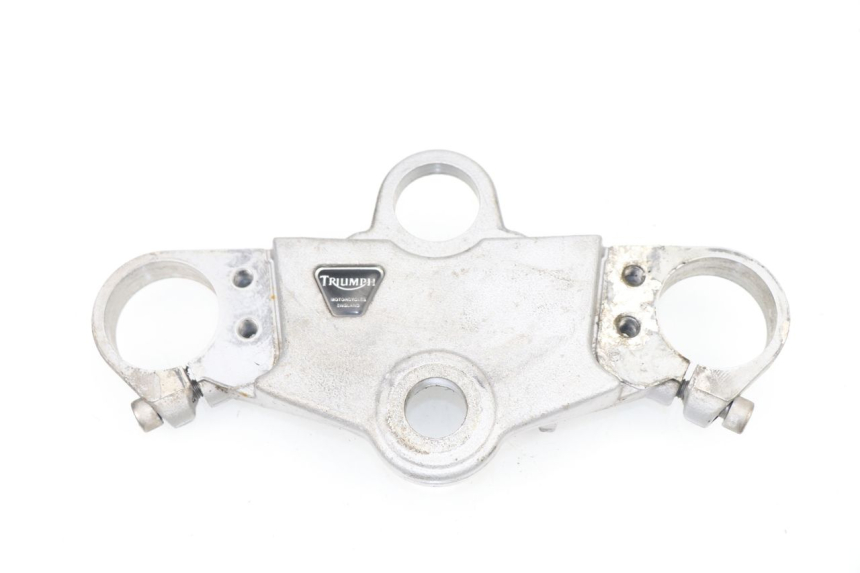 photo de HORQUILLA TRIUMPH SPRINT RS 955 (2000 - 2001)