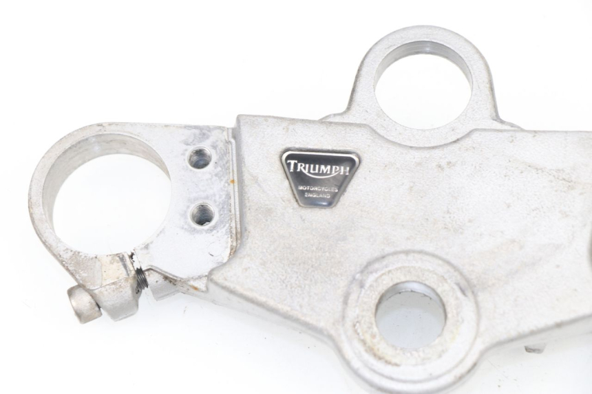 photo de HORQUILLA TRIUMPH SPRINT RS 955 (2000 - 2001)