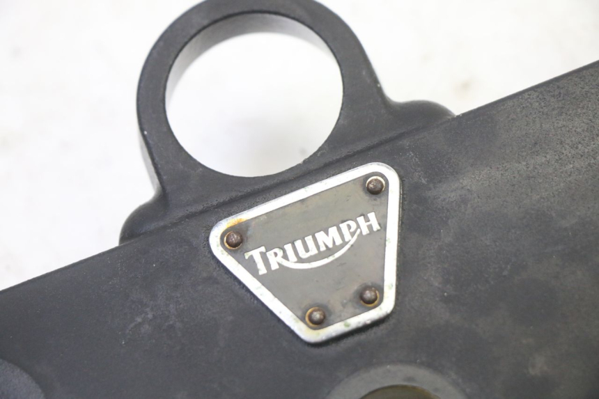 photo de HORQUILLA TRIUMPH SPRINT 900 (1995 - 1998)