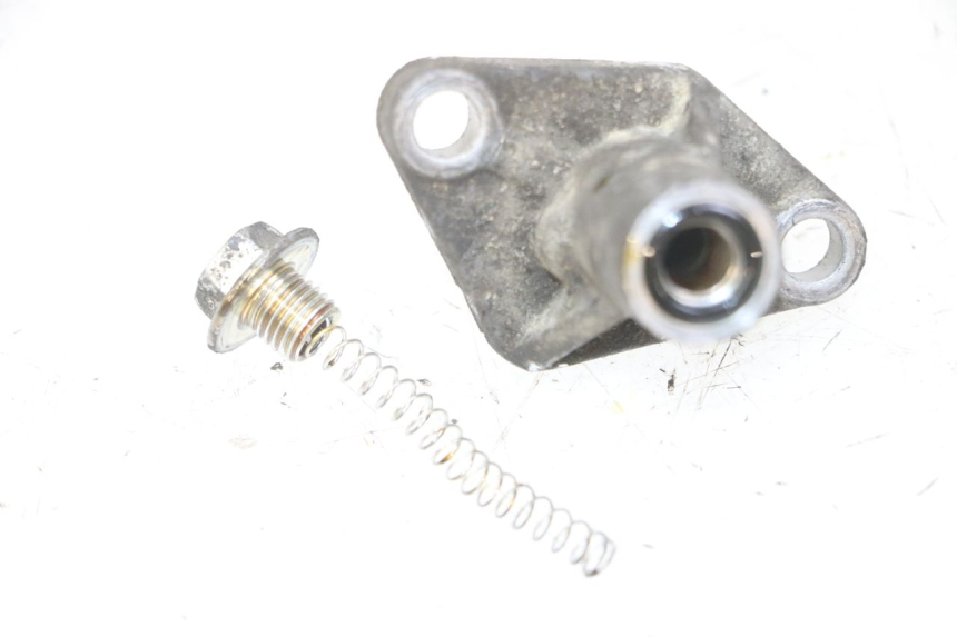 photo de TENSOR CADENA DISTRIBUCION PIAGGIO MP3 LT 300 (2010 - 2016)