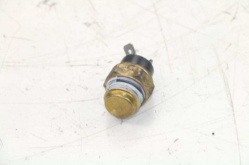 photo de TERMOCONTACTO PEUGEOT SATELIS 125 (2013 - 2018)