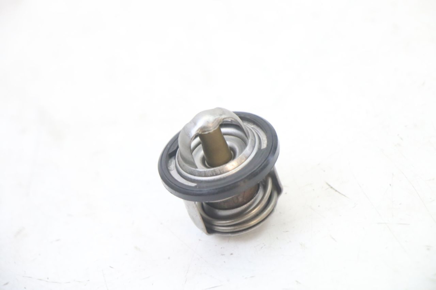photo de TERMOSTATO  APRILIA ATLANTIC 125 (2003 - 2009)