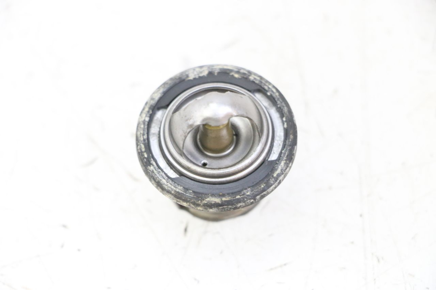 photo de TERMOSTATO  HONDA MTX TC02 125 (1987 - 1989)