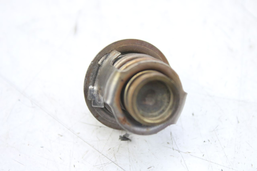 photo de TERMOSTATO PIAGGIO MP3 RL 250 (2007 - 2010)