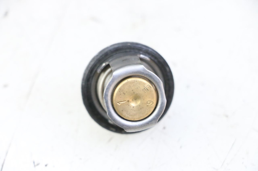 photo de TERMOSTATO SUZUKI BURGMAN 125 (2007 - 2014)
