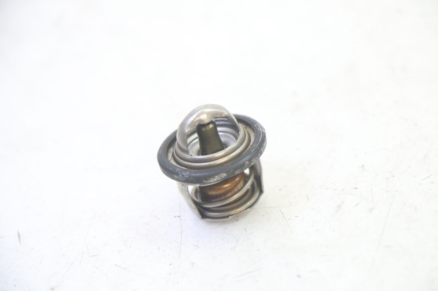 photo de TERMOSTATO  YAMAHA X-MAX XMAX 125 (2010 - 2014)