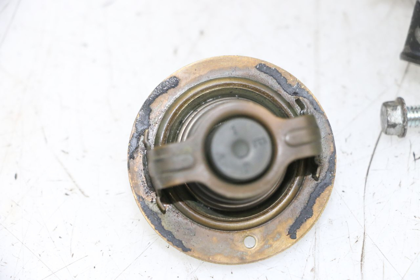 photo de TERMOSTATO YAMAHA TDM ABS 900 (2002 - 2014)