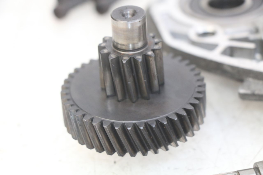 photo de TRANSMISIÓN DE LA RUEDA PEUGEOT CITYSTAR 125 (2011 - 2017) - Zoom sobre los componentes