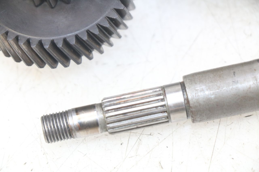 photo de TRANSMISIÓN DE LA RUEDA PEUGEOT CITYSTAR 125 (2011 - 2017) - Foto de producto adicional