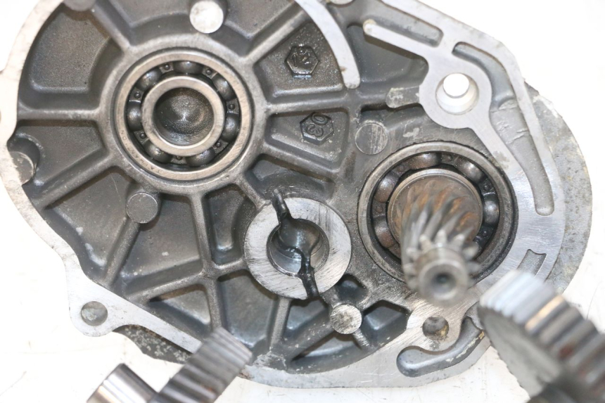 photo de RUEDA TRASERA ENGRANAJES PEUGEOT ELYSTAR 50 (2002 - 2014)