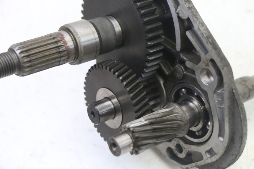 photo de RUEDA TRASERA ENGRANAJES PEUGEOT ELYSTAR 50 (2002 - 2014)