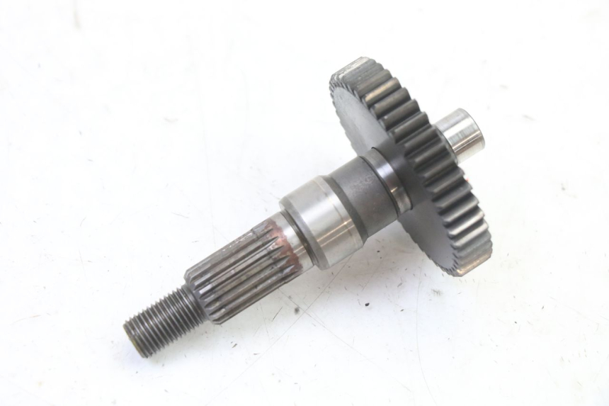 photo de RUEDA TRASERA ENGRANAJES PEUGEOT ELYSTAR 50 (2002 - 2014)