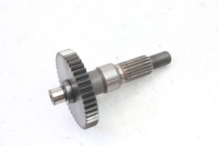 photo de RUEDA TRASERA ENGRANAJES PEUGEOT ELYSTAR 50 (2002 - 2014)