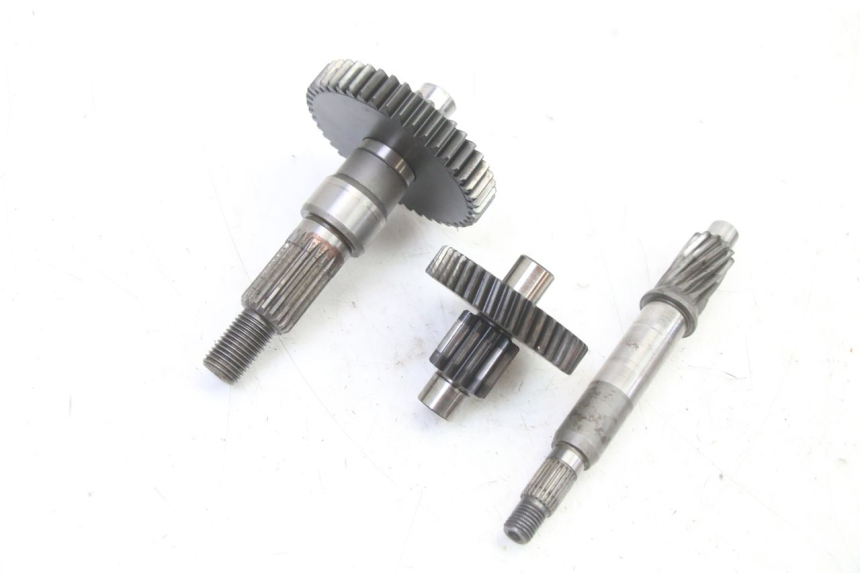 photo de RUEDA TRASERA ENGRANAJES PEUGEOT ELYSTAR 50 (2002 - 2014)