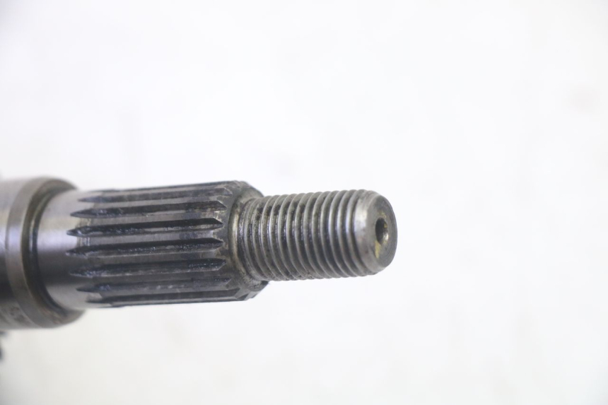 photo de RUEDA TRASERA ENGRANAJES PEUGEOT ELYSTAR 50 (2002 - 2014)