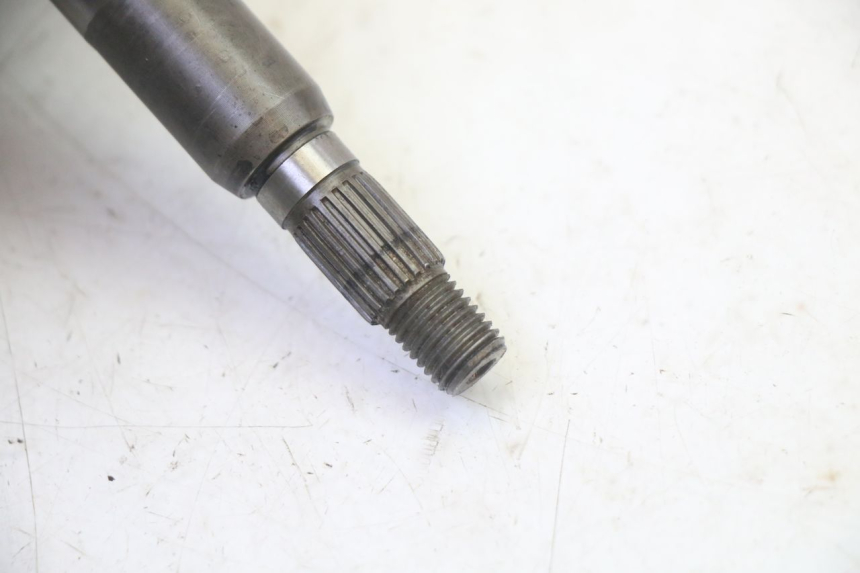 photo de RUEDA TRASERA ENGRANAJES PEUGEOT ELYSTAR 50 (2002 - 2014)