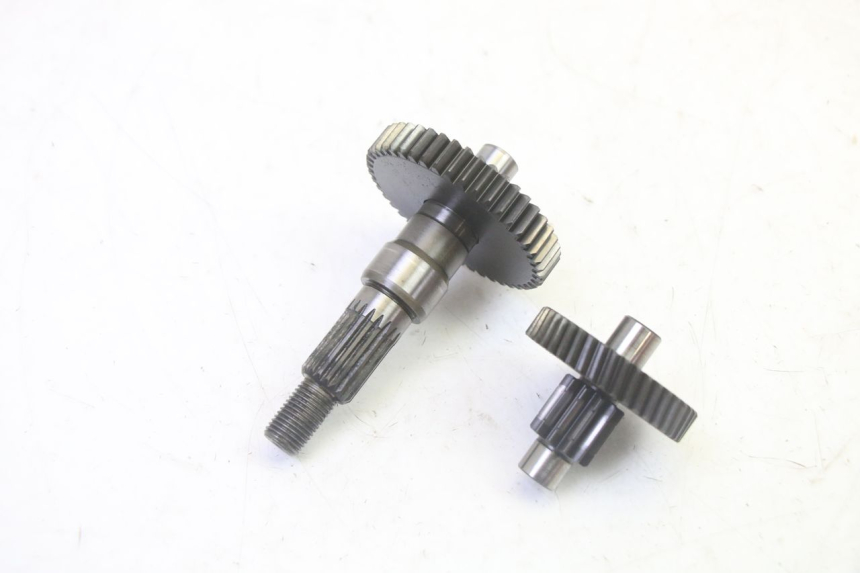 photo de RUEDA TRASERA ENGRANAJES PEUGEOT ELYSTAR 50 (2002 - 2014)