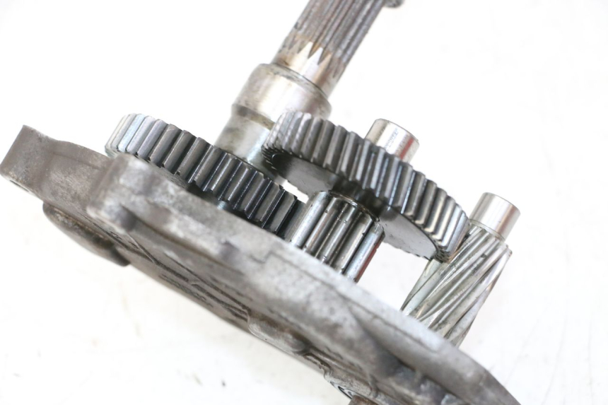 photo de RUEDA TRASERA ENGRANAJES PEUGEOT ELYSTAR 50 (2002 - 2014)