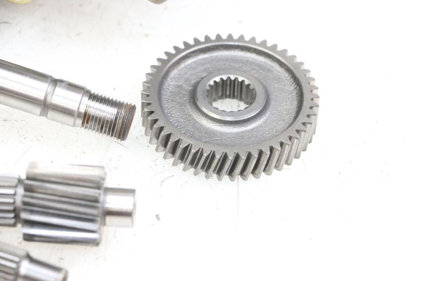 photo de RUEDA TRASERA ENGRANAJES HONDA FES PANTHEON 2T 125 (1998 - 2002)